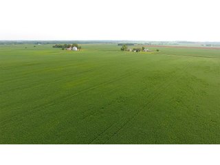 Property photo 14 - IMPORTANT OHIO LAND AUCTION - 325.5+/- ACRES OFFERED IN 8 TRACTS IN PICKAWAY COUNTY, OHIO
